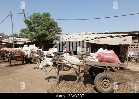 Bahir Dar, Etiopia, 14 Febbraio 2015: Asino carrelli sorge in un mercato pronto per il trasporto di merci Foto Stock