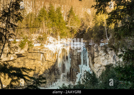 Area di conservazione di Gray Sauble Niagara Escarpment Bruce Peninsula Owen Sound Ontario Canada in inverno Foto Stock