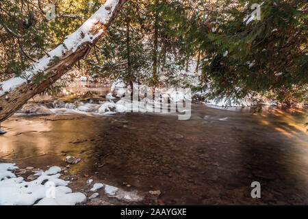 Area di conservazione di Gray Sauble Niagara Escarpment Bruce Peninsula Owen Sound Ontario Canada in inverno Foto Stock