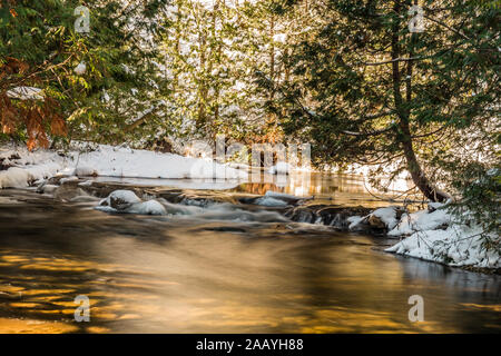 Area di conservazione di Gray Sauble Niagara Escarpment Bruce Peninsula Owen Sound Ontario Canada in inverno Foto Stock