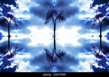 Alberi surreale. Nuvole nel cielo Foto Stock