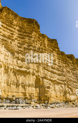 Close up drammatiche scogliere a strati di pietra arenaria Bridport (che costituiscono un importante giacimento di petrolio nel Mare del Nord) lungo la West Dorset Jurassic Coast wit Foto Stock