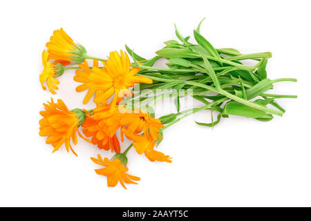 Profumo di arancio Calendula fiori isolati su sfondo bianco . Foto Stock