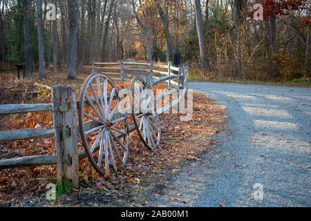 Sentiero natura Allaire State Park, New Jersey, con foglie di autunno di rivestimento del pietrisco sentieri -04 Foto Stock