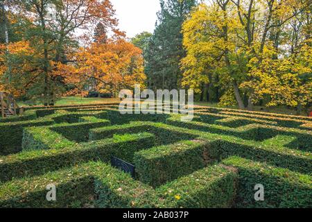 Giardino ornamentale con siepi di buxus sempervirens come un labirinto. Giardino labirinto ner castello Loucen nella Repubblica Ceca. Foto Stock