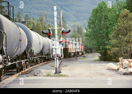 Treno merci attraversa la strada in Jasper. Lo stato di Alberta. In Canada. Foto Stock