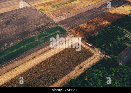 Vista aerea, la raccolta del granoturco scenario da fuco pov, trattore con rimorchio nel mais campo di coltivazione Foto Stock