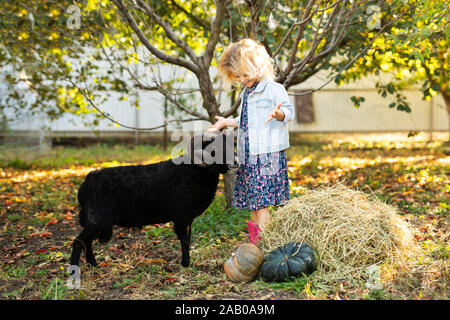 Piccola parentesi ragazza bionda nero alimentazione ovini domestici. Il contadino del concetto di vita. Foto Stock