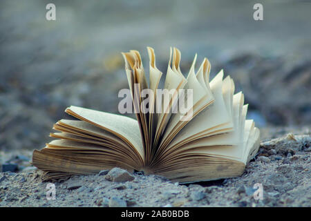 Aperto vecchio libro sul terreno all'aperto vicino up shot Foto Stock