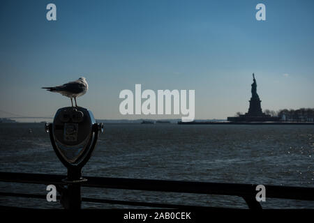 Seagull permanente al binocolo su Ellis island guardando la statua della libertà in lontananza. Acqua e cielo blu visibile, colpo al giorno. Foto Stock