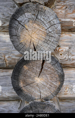 Veduta esterna del log house close-up di muro. Il marrone scuro bruciato weathered texture di legno. Angolo di intersezione dei registri. Foto Stock