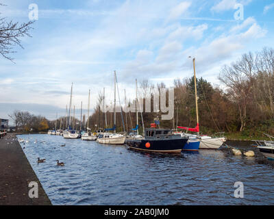 Barche a Spike Island Marina in Wdnes, Cheshire Foto Stock