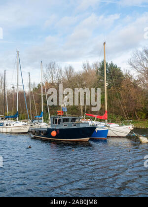 Barche a Spike Island Marina in Wdnes, Cheshire Foto Stock