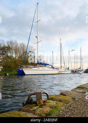 Barche a Spike Island Marina in Wdnes, Cheshire Foto Stock