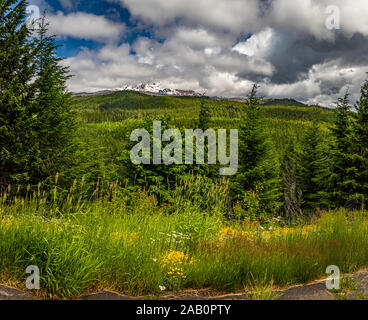 Un giorno nuvoloso nasconde la vetta di Monte Adams in questa vista dal Gifford-Pinchot National Forest. Foto Stock