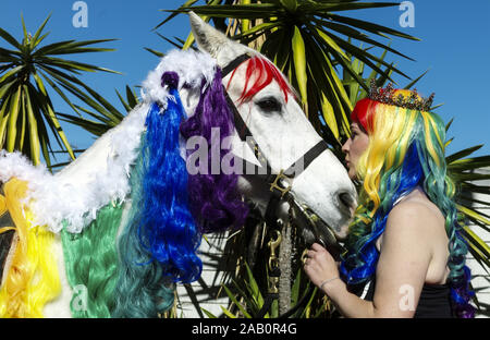 Los Angeles, California, USA. 24 Novembre, 2019. Una donna bacia il cavallo nel Doo Dah Parade, Domenica, 24 novembre 2019 a Pasadena, in California. Credito: Ringo Chiu/ZUMA filo/Alamy Live News Foto Stock