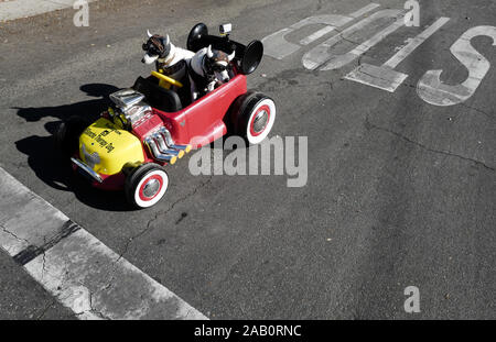 Los Angeles, California, USA. 24 Novembre, 2019. I cani di partecipare nel Doo Dah Parade, Domenica, 24 novembre 2019 a Pasadena, in California. Credito: Ringo Chiu/ZUMA filo/Alamy Live News Foto Stock