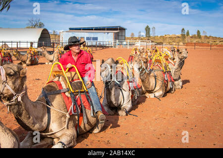 Una guida illustra come ottenere su un cammello in condizioni di sicurezza per i turisti in attesa di un cammello sunset tour nei pressi di Uluru, Territorio del Nord, l'Australia Foto Stock