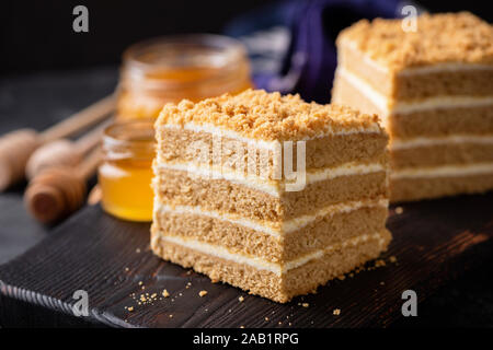 Lo strato di deliziosa torta di miele sul nero che serve Board. Primo piano. Torta russa Medovik Foto Stock