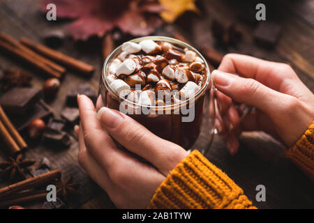 Mani femminili Holding tazza di cioccolata calda con la cannella. Gustoso cibo Confortevole. Bevanda calda per autunno e inverno Foto Stock