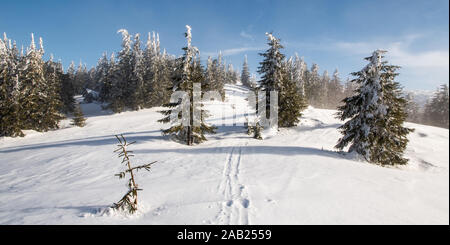 Paesaggio montano invernale con prato, piccoli alberi e cielo blu con nuvole tra Krizava e Skalka hill in Lucanska Mala Fatra mountains nella Repubblica slovacca Foto Stock