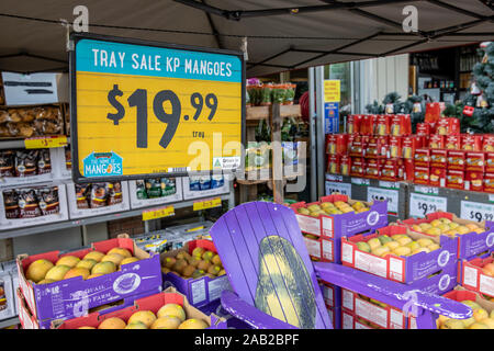 Supermercato Harris Farm e vassoi di manghi di frutta fresca in vendita a Sydney, Australia Foto Stock