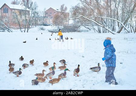 Little Boy alimenta le anatre in inverno. Il concetto di cura Foto Stock