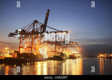 Containerbruecken am Containerterminal Eurogate bei Nacht Foto Stock