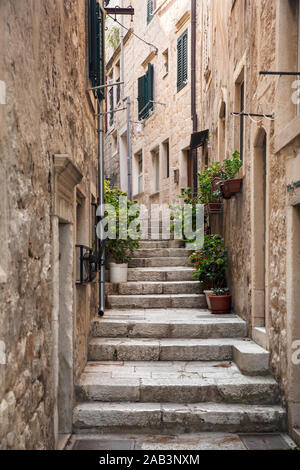 Vecchia stretta strada del mediterraneo con scale di Korcula. Le case di pietra e facciate, piante verdi e fiori in Dalmazia, Croazia. Luogo storico creatin Foto Stock