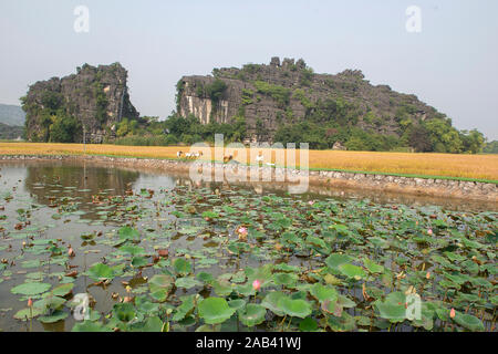 Vista panoramica di formazioni carsiche in Tam Coc, una parte di Trang un complesso , è stata dichiarata patrimonio mondiale dell UNESCO Foto Stock