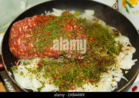 Carne tritata cruda con cipolla e aneto secco con spezie in padella in cucina. Processo di cottura. Foto Stock