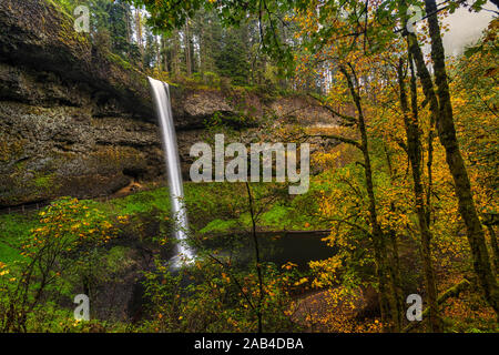 Cascate del sud è il volto di Silver Falls State Park. Situato all'inizio del sentiero vicino alla principale area per picnic e lodge rende davvero acces Foto Stock