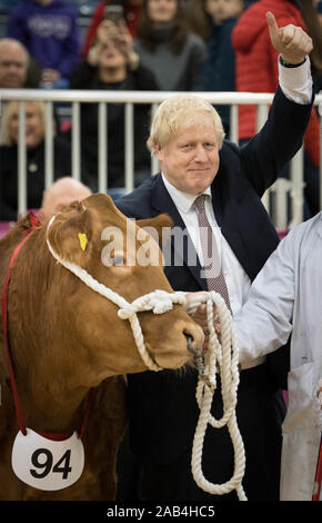 Il primo ministro Boris Johnson, visita al Royal Welsh Inverno Fiera Llanelwedd, Builth Wellswhilst sulla campagna elettorale trail. Foto di PA. Picture Data: lunedì 25 novembre, 2019. Vedere PA storia politica elezione. Foto di credito dovrebbe leggere: Stefan Rousseau/PA FILO Foto Stock