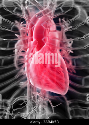 3D Rendering accurato dal punto di vista medico illustrazione del cuore umano Foto Stock