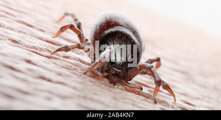3d reso illustrazione di un tick mordere nella pelle umana Foto Stock