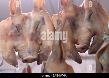 Teste di maiale si vede sul display in una macelleria a Abastos mercato in Santiago de Compostela. Foto Stock