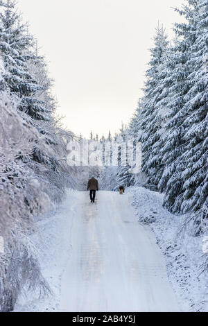 Uomo che cammina con il suo cane su una strada invernale nel bosco Foto Stock