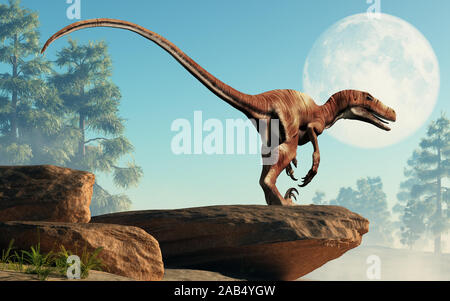 Deinonychus è un theropod dinosauro, un cugino di Velociraptor, che visse durante il Cretaceo. Featherless raffigurato su una scogliera con la luna dietro. Foto Stock