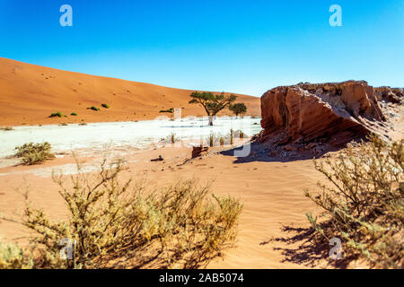 La fauna selvatica e paesaggio di Sossusvlei, Namibia, Africa Foto Stock