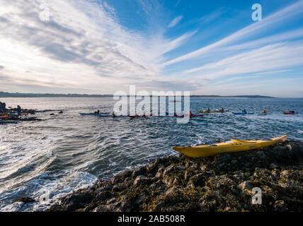 Lothian Sea Kayak Club kayakers terreno sulla spiaggia rocciosa e di agnello, Isola, Firth of Forth, Scotland, Regno Unito Foto Stock