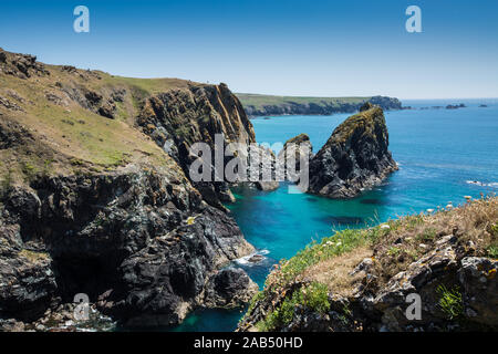 Il pittoresco e una popolare destinazione turistica di Kynance Cove in Cornovaglia che mostra lo splendido e aspro paesaggio della Cornovaglia al suo meglio in estate Foto Stock