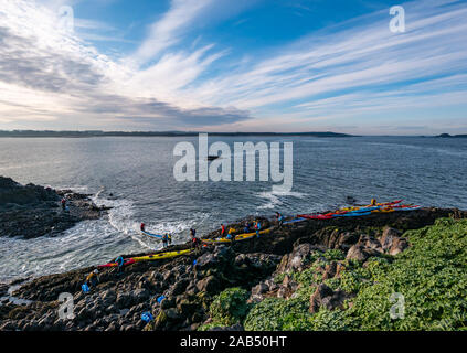 Lothian Sea Kayak Club kayak sbarco sulla spiaggia rocciosa e di agnello, Isola, Firth of Forth, Scotland, Regno Unito Foto Stock