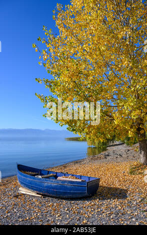 Autunno in riva al lago di Ohrid vicino Peshtani nel nord della Macedonia, l'Europa. Foto Stock