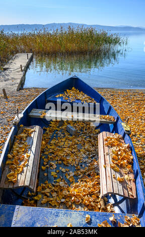 Autunno in riva al lago di Ohrid vicino Peshtani nel nord della Macedonia, l'Europa. Foto Stock