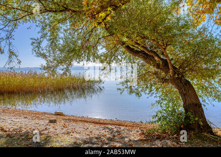 Autunno in riva al lago di Ohrid vicino Peshtani nel nord della Macedonia, l'Europa. Foto Stock