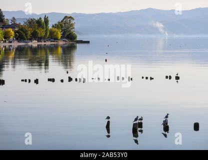 Guardando attraverso il lago di Ohrid da Peshtani nel nord della Macedonia, con l'Albania in distanza, Nord Macedonia, l'Europa. Foto Stock