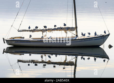 Una barca a vela sul lago di Ohrid a Peshtani nel nord della Macedonia, l'Europa. Foto Stock