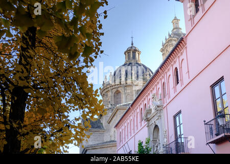 Scene di strada nella città di Granada, Andalusia, Spagna Foto Stock