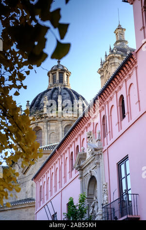 Scene di strada nella città di Granada, Andalusia, Spagna Foto Stock