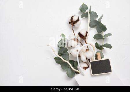 Mock up autunno di eucalipto e foglie di piante di cotone con posto per il testo su sfondo bianco. Ghirlanda fatta di rami di eucalipto. Piatto, laici vista superiore Foto Stock